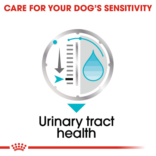 ccn-wet-urinary-cv-eretailkit-3