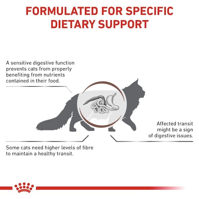 vhn-gi-fibre-resp-cat-dry-wet-b1-mv3.jfif