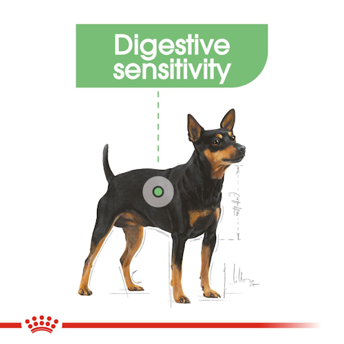 ccn-digestivemini-cv-eretailkit-2