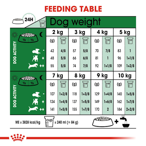 shn-ageingmini12-cv-eretailkit-4