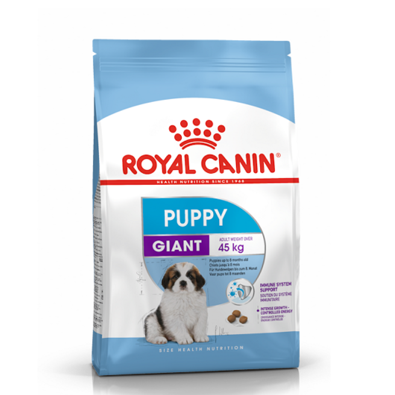 packshot-puppy-giant-shn17