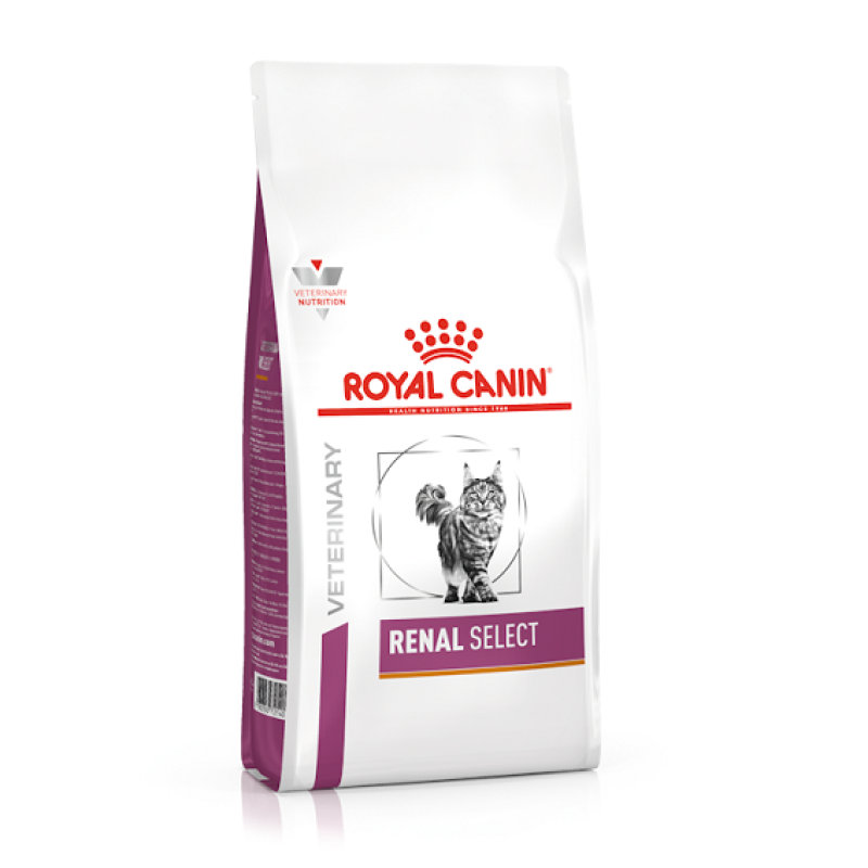 royal canin renal select dry